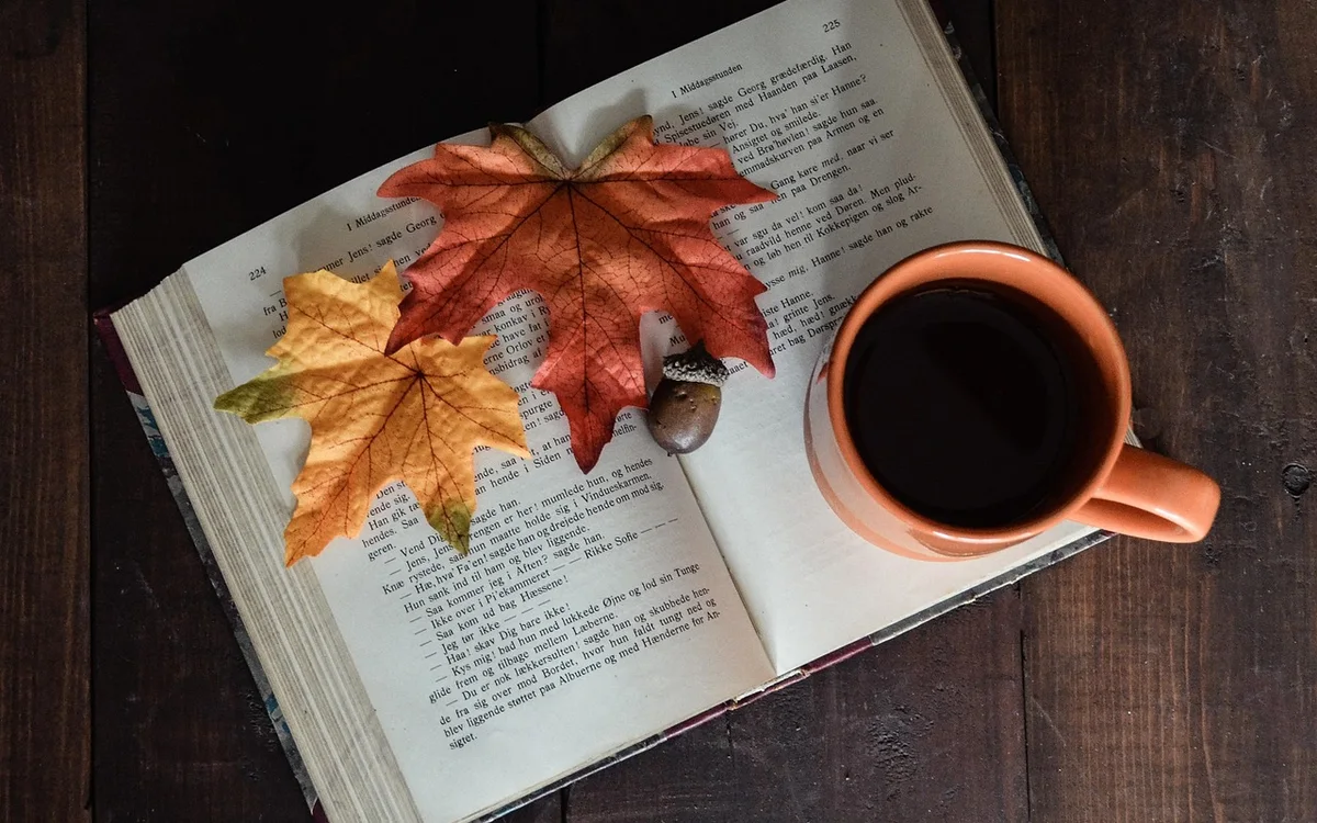 How to start reading again